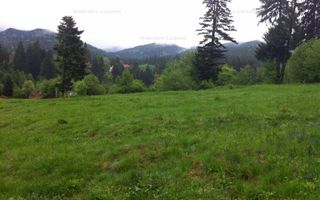 Teren intravilan Cotul Donului,pretabil Hotel/pensiune. - Poză 6