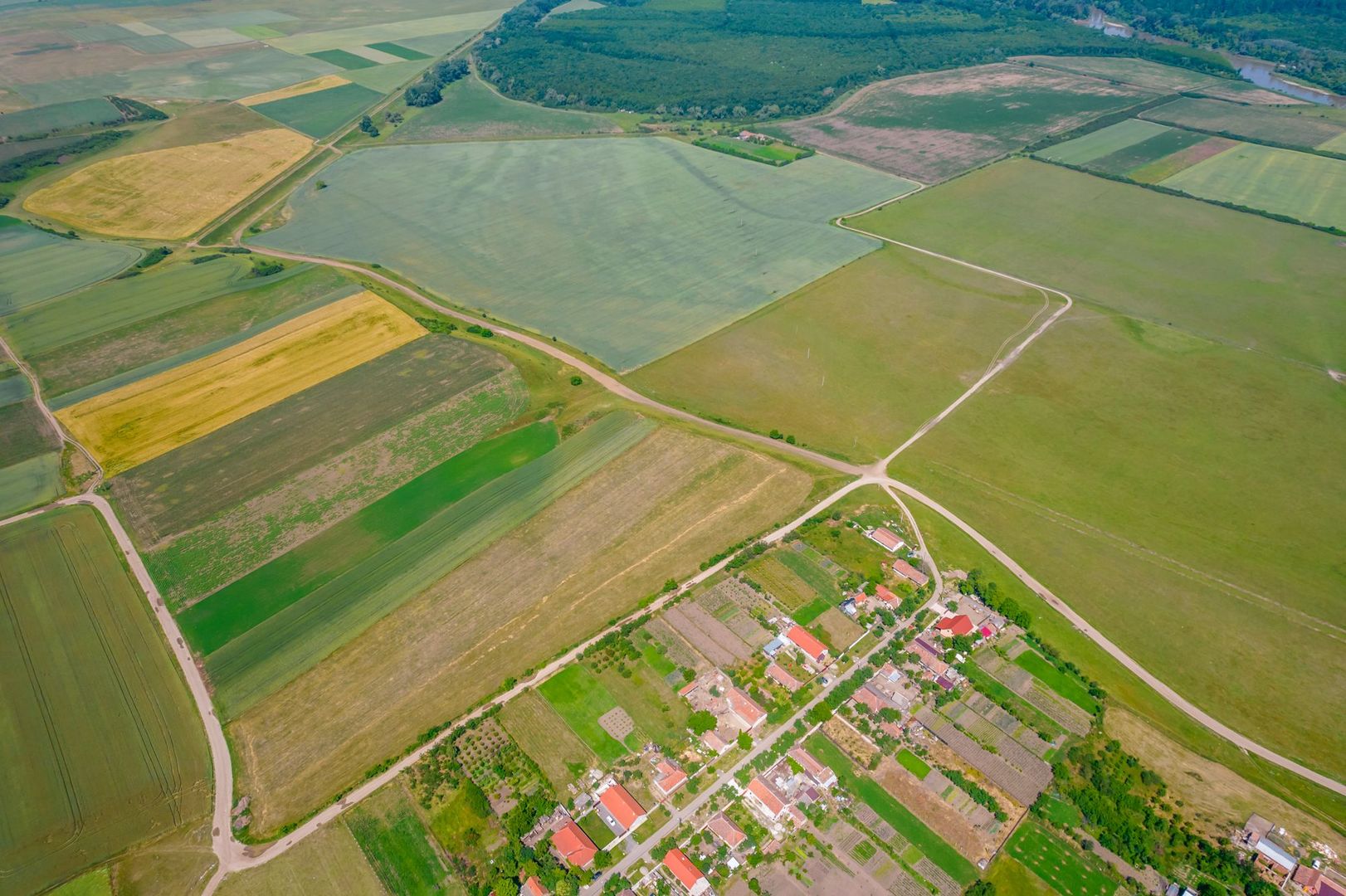 Loc de casă în Felnac - Poză 5
