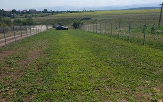 Teren Extravilan 800 mp I Front Stradal 60 m I Sura Mică I Sibiu - Poză 2