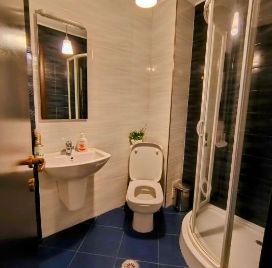 Apartament 3 camere Iancu Nicolae- Lidl - Poză 6