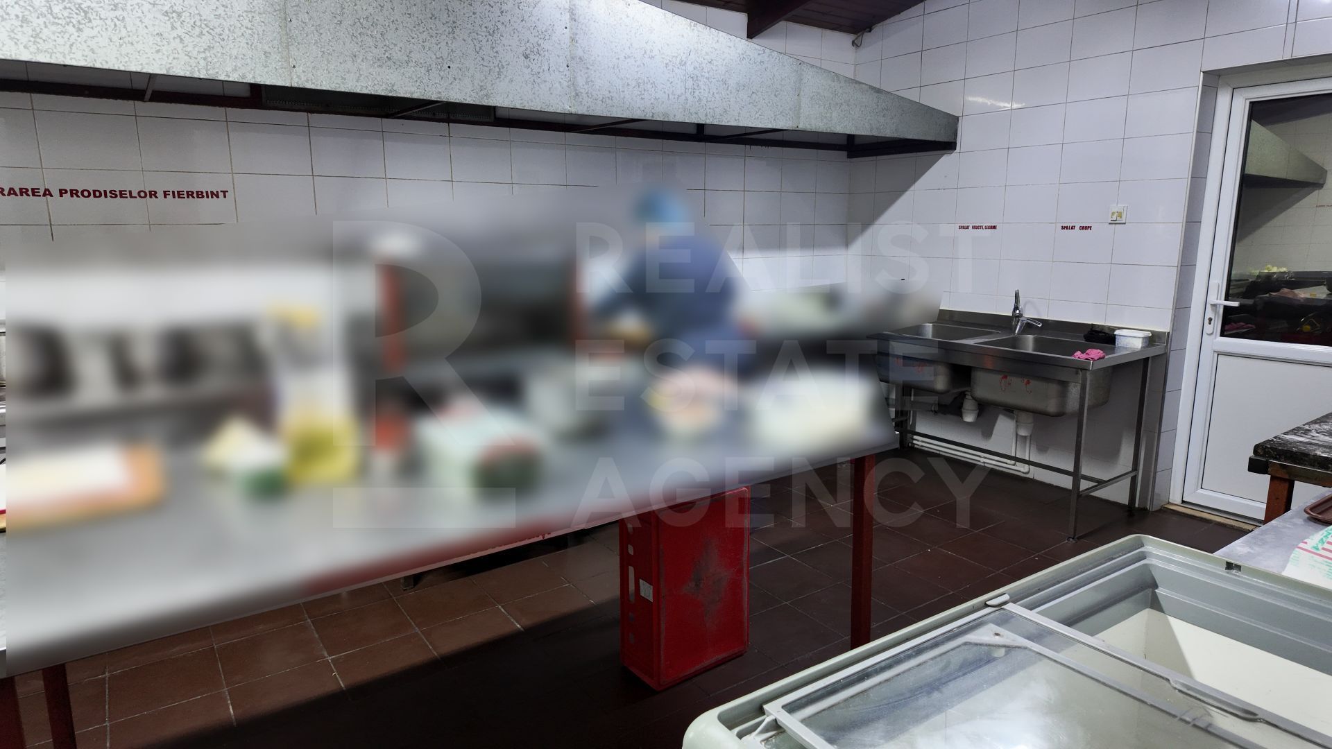 Vânzare, spațiu comercial, 359,2 mp,  Mitoc, localitatea Orhei - Poză 12