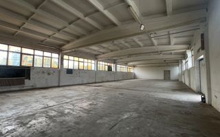 Hala de închiriat cu birouri, Salonta - Poză 1