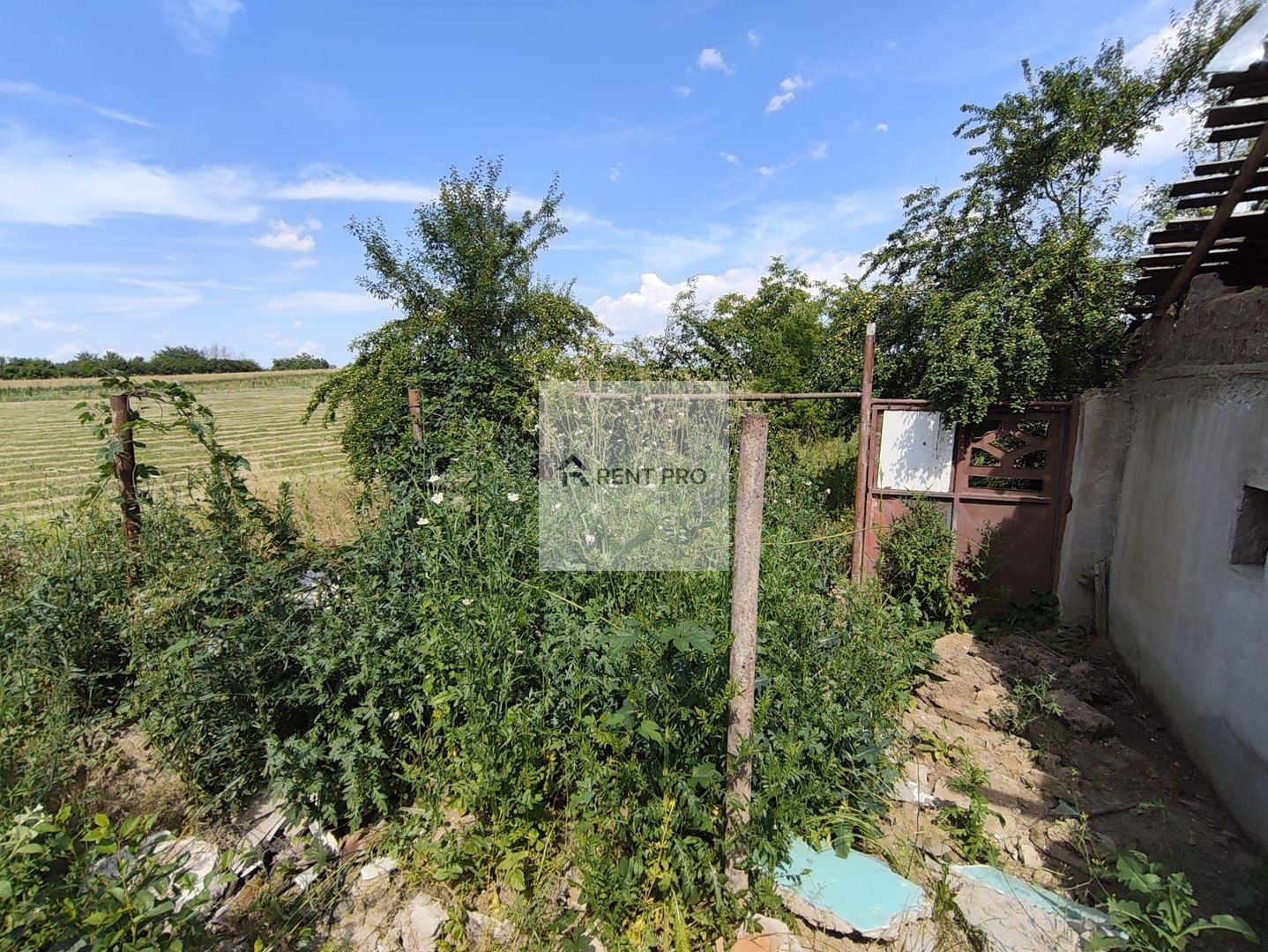 Teren de 11.000 mp cu casă și teren agricol | La 40 km de București | - Poză 12