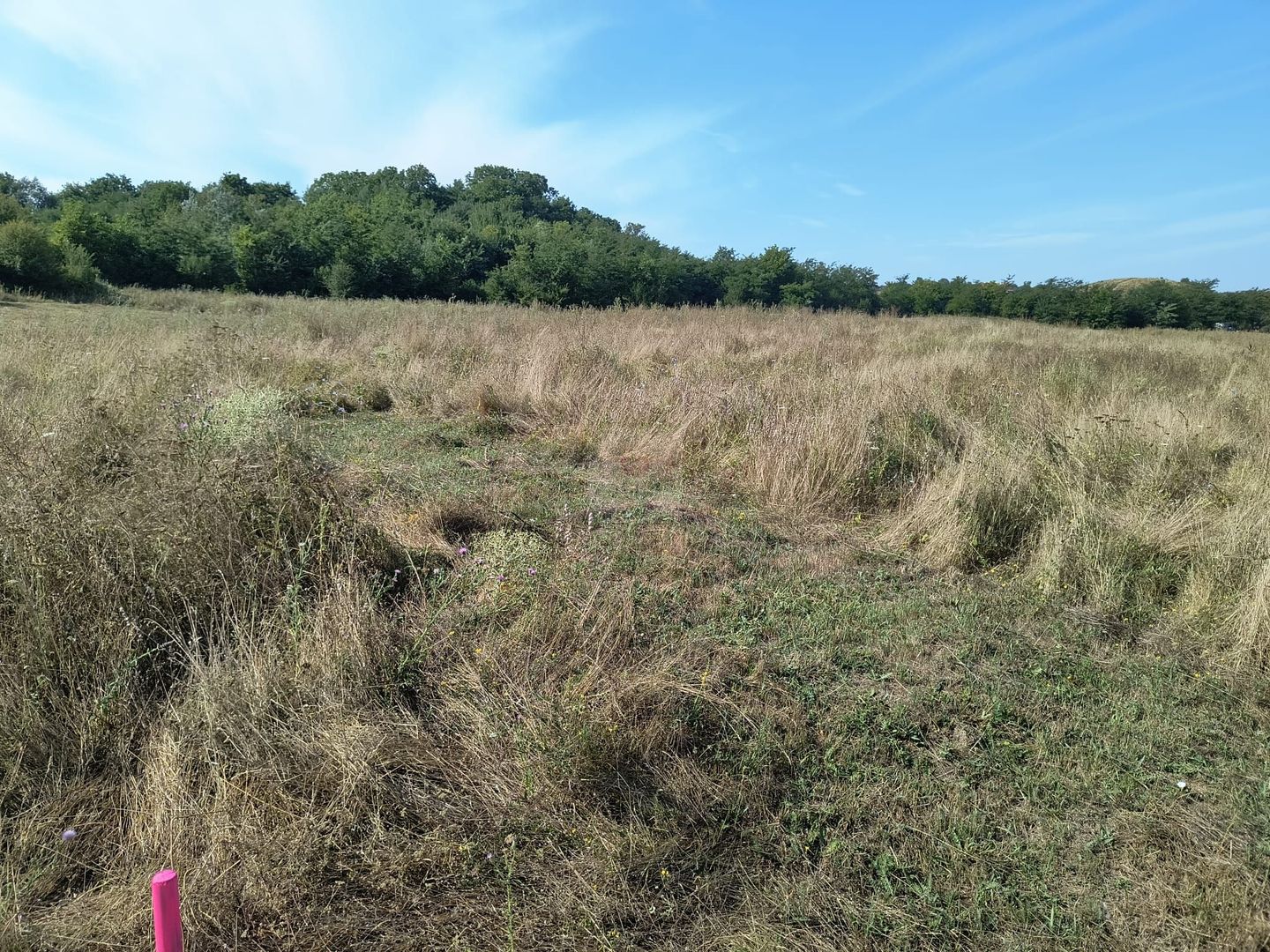 Teren intravilan investitie - Poză 6