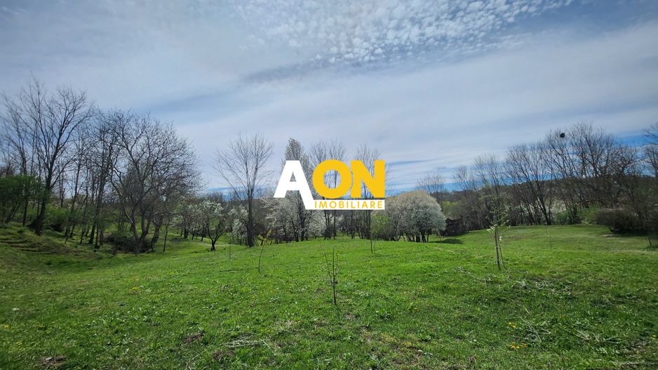 De vanzare casa 6 camere 8142 mp teren in Oarda de Sus - Poză 30