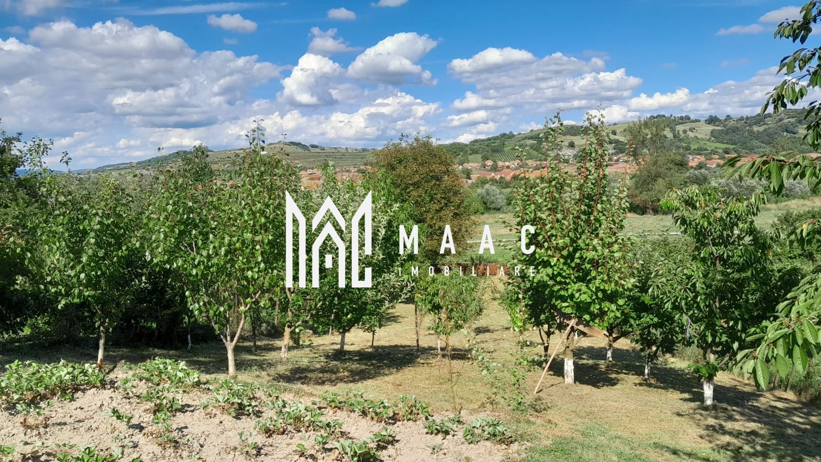 Casa individuala | 4 camere | Teren 2000 MP | Seica Mare - Poză 3