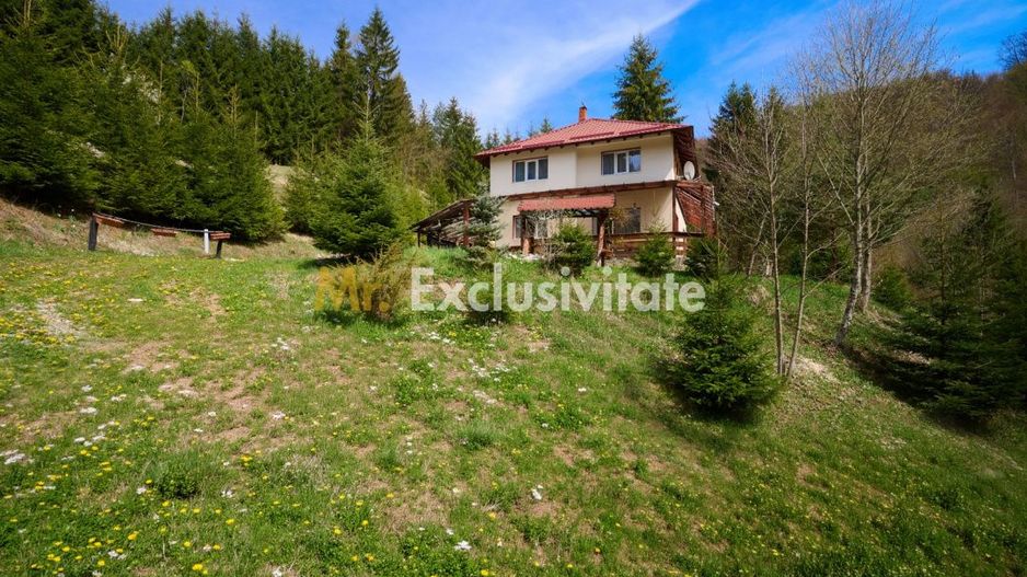 Casa Dambovicioara - CASA de vacanta sau PENSIUNE profitabila - Poză 11