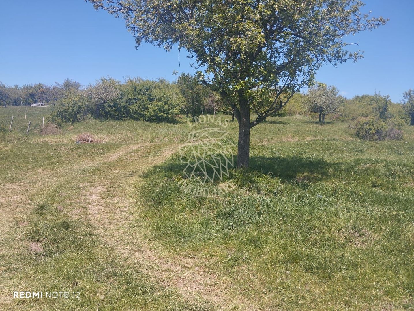 Teren 4400 mp -Parcelabil - panoramic - Sarata - Poză 1