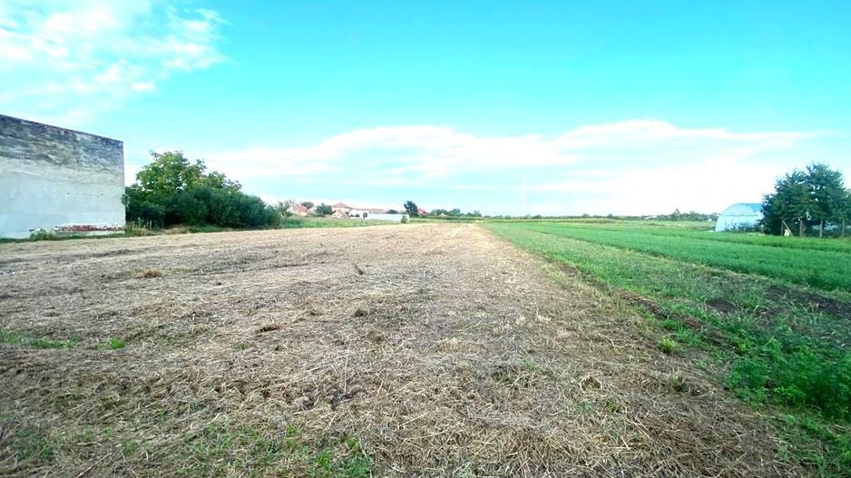 Terenuri de vânzare Boldur - Poză 2