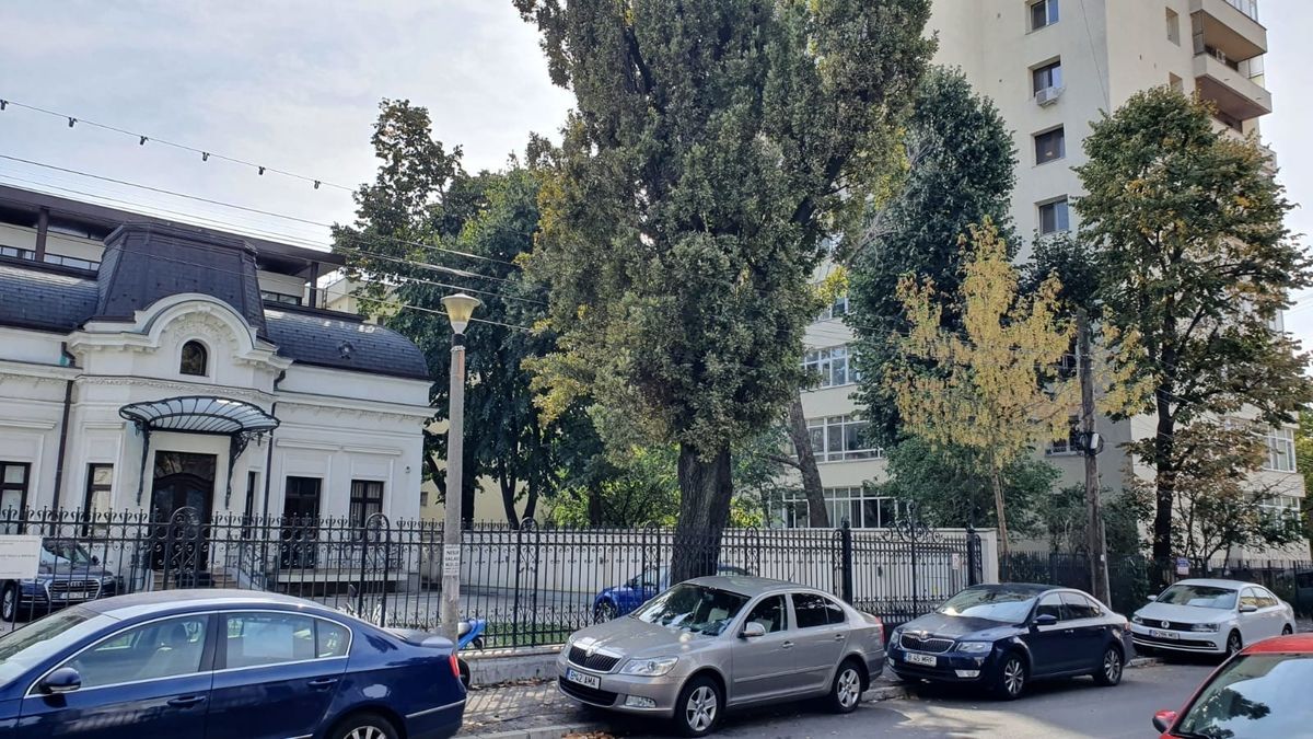 Sector 2, ultracentral - Poză 10