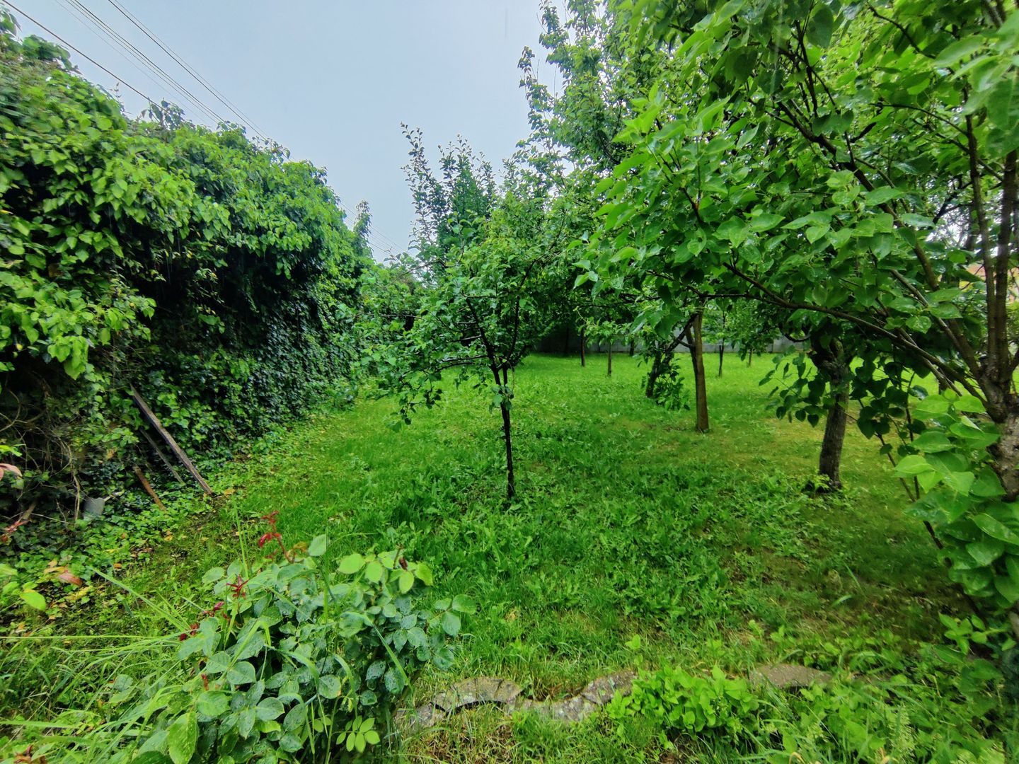 CASA INDIVIDUALA GHIRODA +TEREN 1752 MP - Poză 40