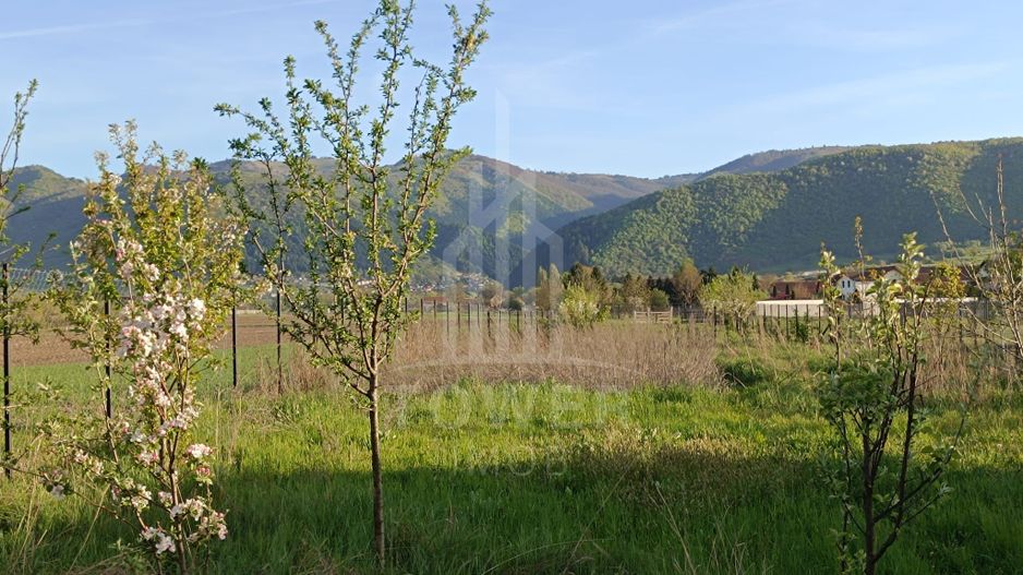 Teren Intravilan - Orlat jud. Sibiu - Poză 3