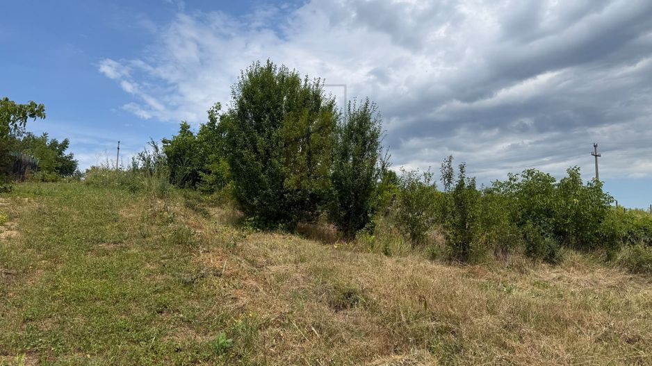 Teren in Goruni comuna Tomesti 12 km de rond Podu Ros - Poză 4