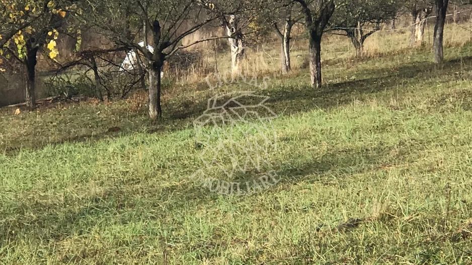 Teren intravilan 3800 mp-pretabil case-parcelabil-Zona Cartier Raal - Poză 5