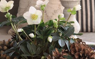 Apartament cu 2 camere de 45 mp de vânzare în zona P-ta Universitatii - Poză 30