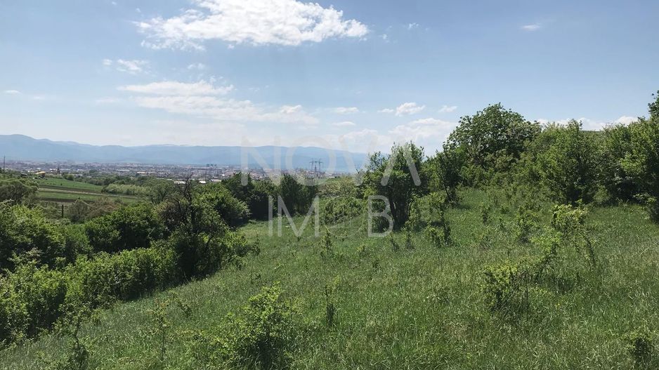 Teren extravilan - 8000 mp, Gusterita - Poză 2