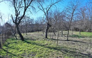 Case de vânzare | 2.128 mp teren | Filipeștii de Pădure | Comision 0% - Poză 19