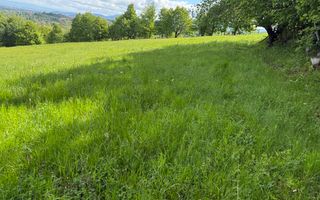 Teren Bran Sohodol 6700 mp - Poză 2