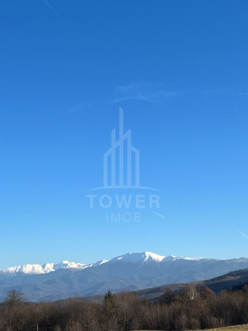 Teren Intravilan 2.938 mp | Tocile - Poză 12