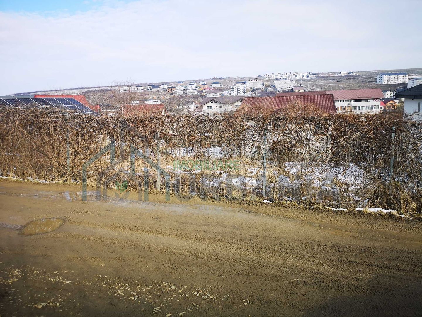 Teren Visan, jud. Iasi - Poză 1