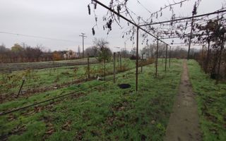 Casă de vânzare – 3 camere, teren generos 18 ari – Bulboaca, Anenii Noi - Poză 11