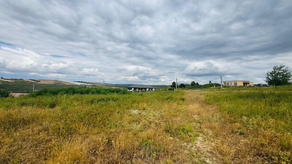 Parcele teren intravilan Paleu - Poză 2