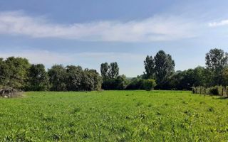 Vand casa cu gradina 4000 mp ca 12 Km de statiunea geotermala Tasnad - Poză 3