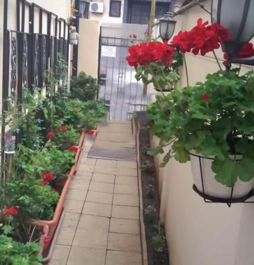 URGENT!,  singur curte, locuit/birouri, RANDAMENT 8,8%/AN, NEGOCIABIL - Poză 9