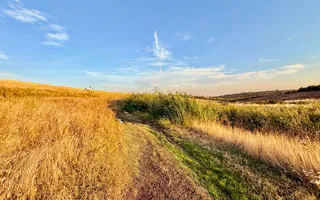 Teren Daia 75000 mp cu balta 30000 mp izvoare - Poză 13