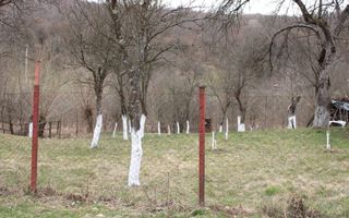 Pământ I Fereastră către Eternitate în  Transilvania - Poză 15