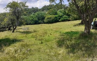 Teren Extravilan situat la intersectia DN1 cu Transfagarasan - Poză 3