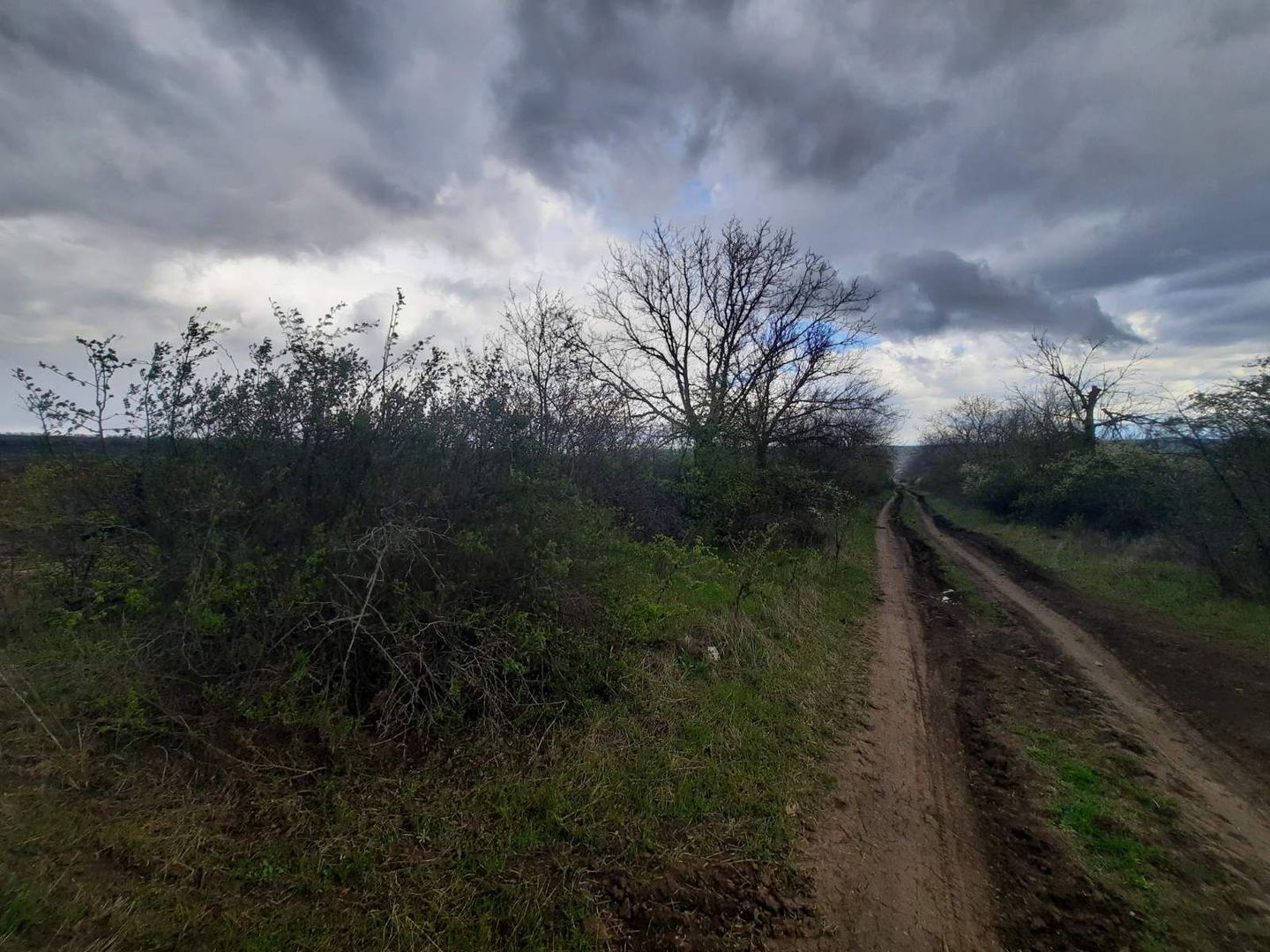 Teren agricol, Boșcana, 20 ari - Poză 2