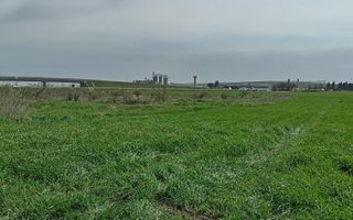 ‼️OPORTUNITATE DE INVESTIȚIE‼️ Teren Zona Ungheni | 44376 mp - Poză 6