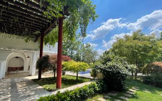 Domeniu vila Balotesti 4000 mp teren 60 m deschidere lac - Poză 8