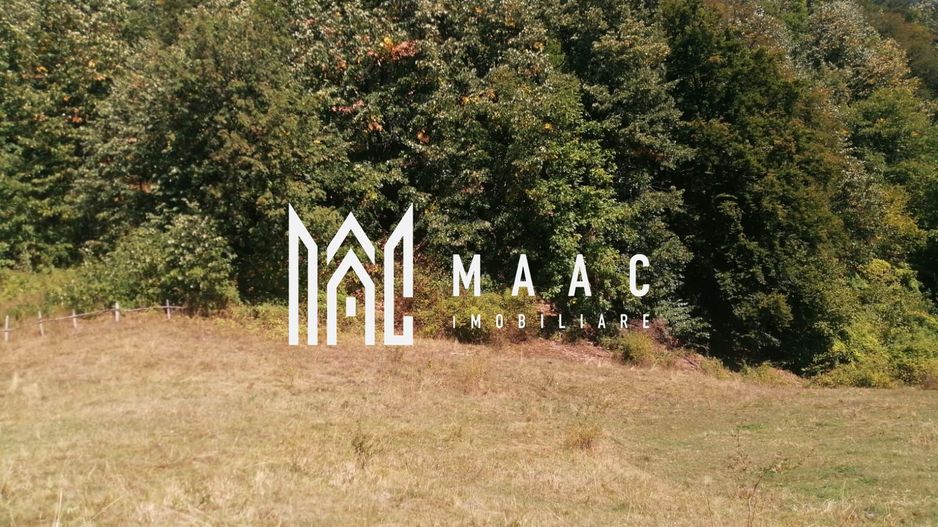 Teren Extravilan 20.000Mp I Stoenești -Vâlcea I Apă Curentă și Pădure - Poză 9