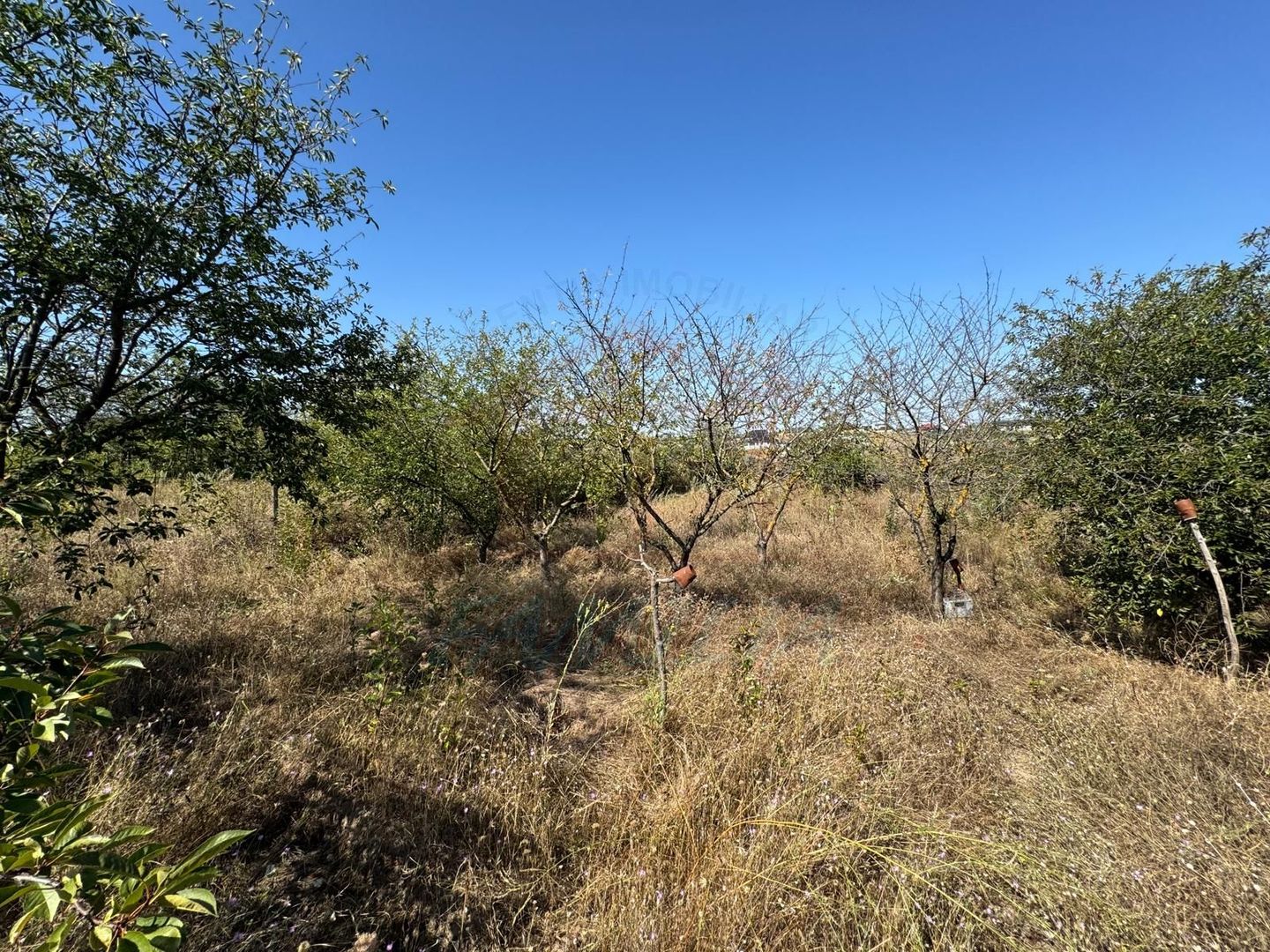 Cabana din lemn+ teren 2000 mp , 105.000 Euro negociabil, zona Metro - Poză 9