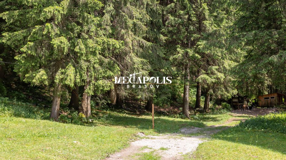 Pretabil Hotel,Pensiune,Case de Vacanta/Utilitati/PUZ - Poză 22