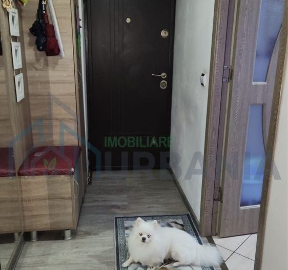 Apartament 4 camere, parter, 72 mp, cartier Dancu – de vânzare sau schimb cu casă - Poză 1