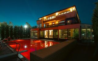 Vila grandioasa, Gradina Japoneza, SPA, Crama, Teren Tenis, Foisor, Iaz Pesti - Poză 2