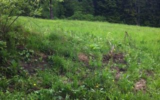 Teren intravilan Cotul Donului,pretabil Hotel/pensiune. - Poză 13