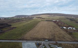 Teren 19.375 mp Dâmbu Rotund. Potențial rezidențial. Extravilan - Poză 10