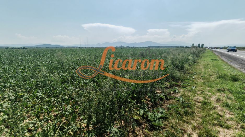 Teren intravilan 3,85 ha,Brasov DN 13 langa MILLE, OLYMPUS, ARKADA - Poză 4