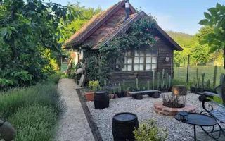 Casă 5 camere de vânzare | Bazna | 3 CF | 7.500 mp teren - Poză 12
