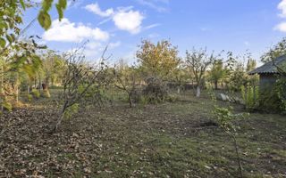 COMISION 0% | 2 Case cu Spatiu Comercial | Teren 1019mp | 540 eur/mp - Poză 31