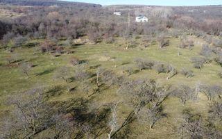 Teren 20.146 mp Dâmbu Rotund (Lomb).Extravilan.Potențial rezidențial - Poză 10