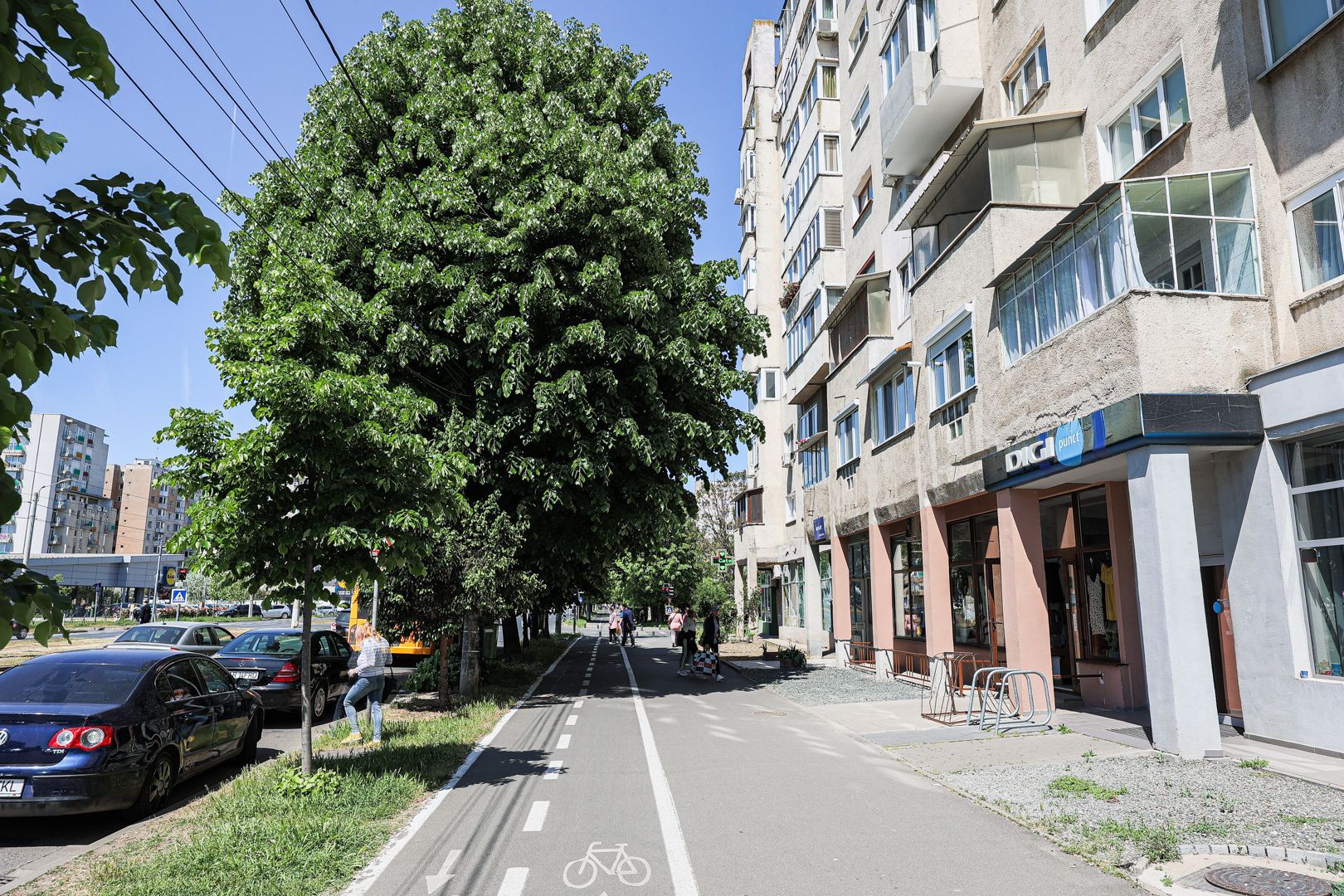 Locuință renovată cu bun gust, 2 dormitoare, etajul 1. Aurel Vlaicu - Poză 11