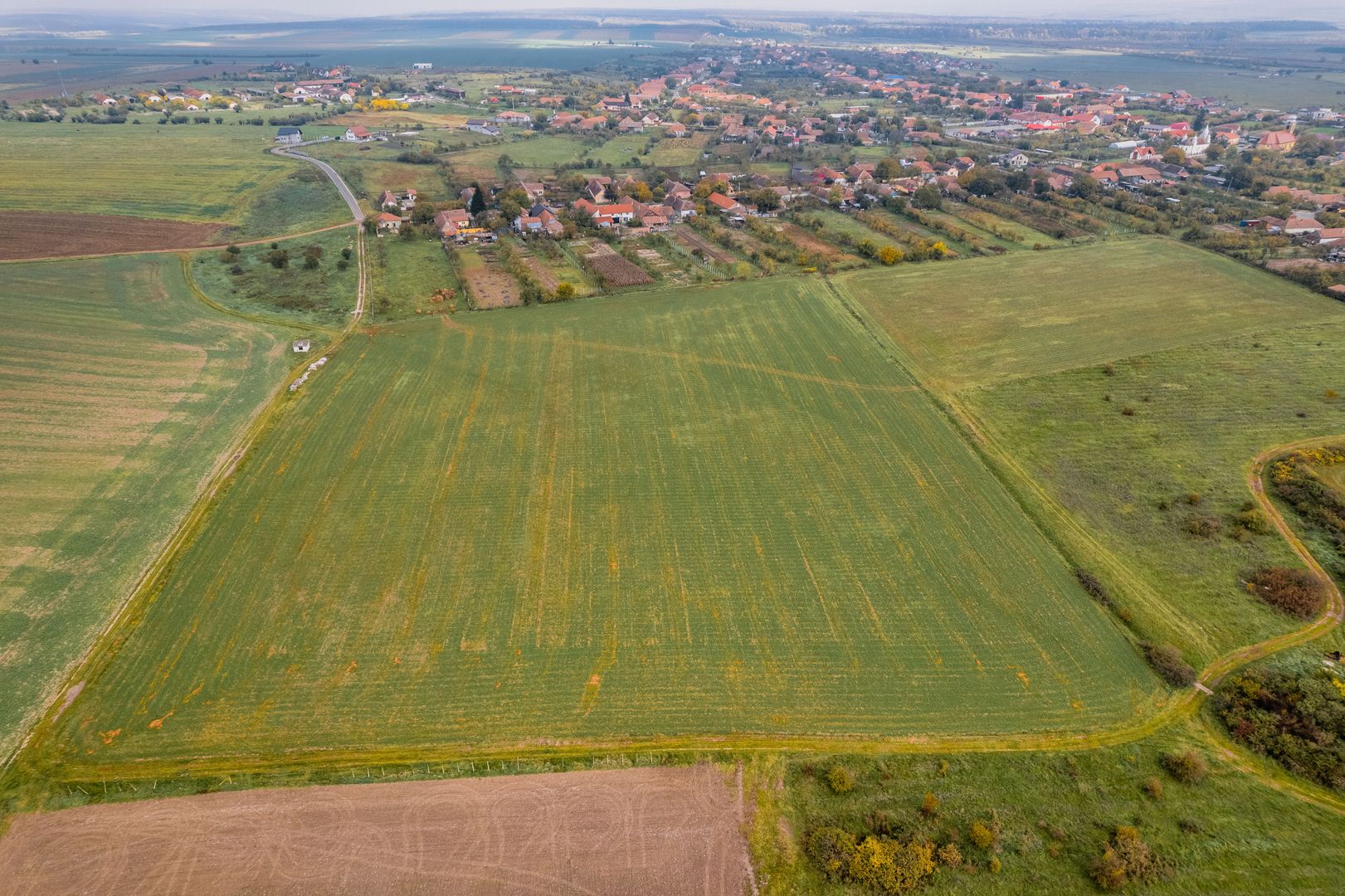 Teren de 50.000mp în Pișchia - Poză 2