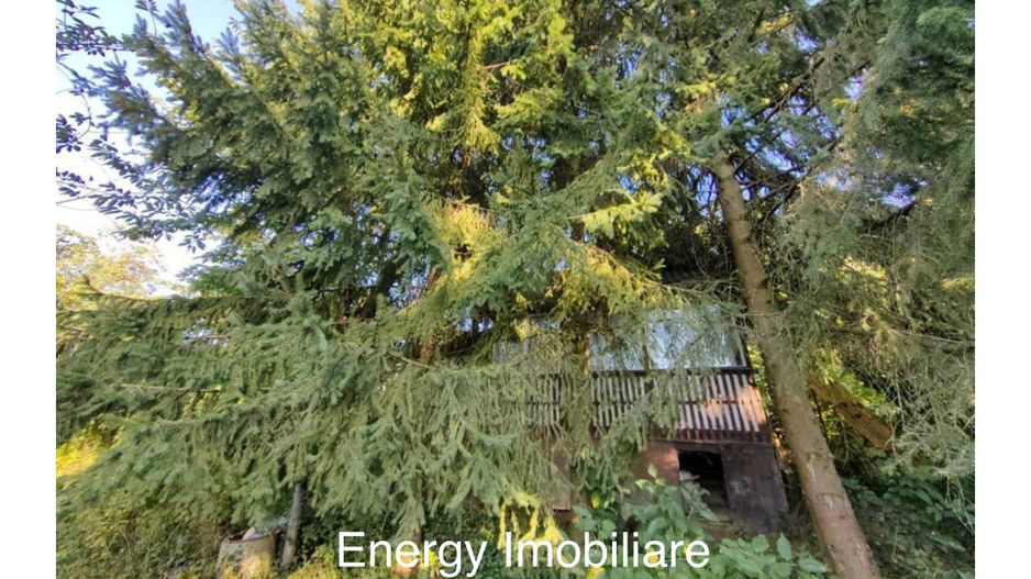 Teren de 500 mp, Platoul Cornești - Poză 5