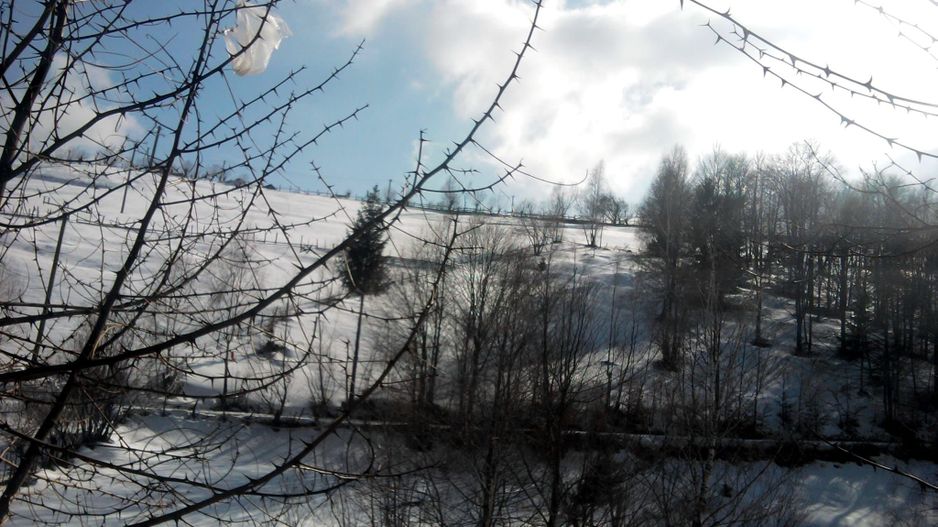 teren intravilan in zona Magura Bran - Poză 19