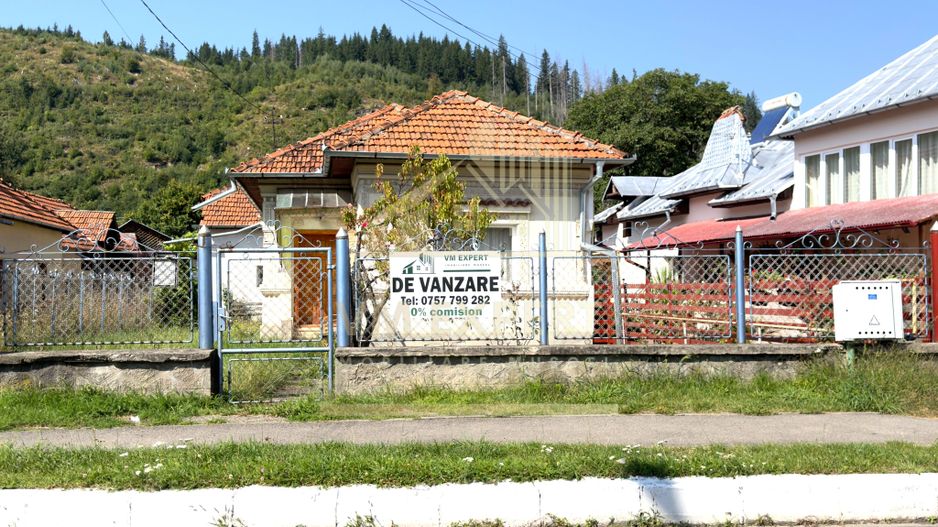 CASĂ 4 CAMERE TEREN 1316 MP LEREȘTI ARGEȘ - Poză 1